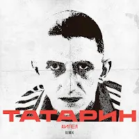 Аигел — Татарин (Remix) — обложка